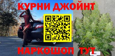 mdpv Ставрополь