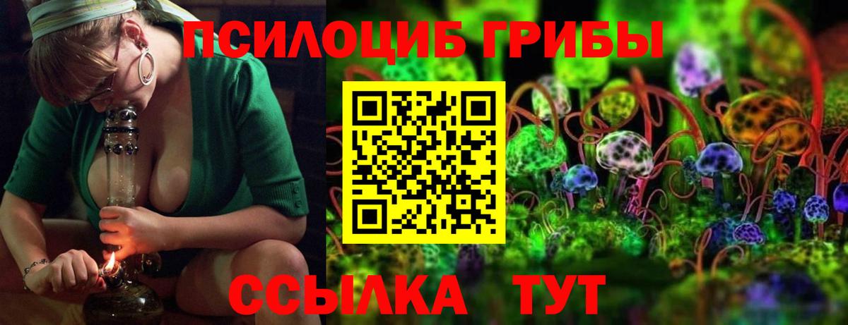 дарнет шоп  Вход с VPN  Артёмовский  Галлюциногенные грибы Psilocybine cubensis 